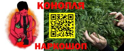 наркотики Шелехов